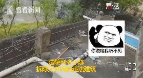 上海一女子家养百余只猫楼道里弥漫臭味 拒不执行判决被法官强行开锁拆违