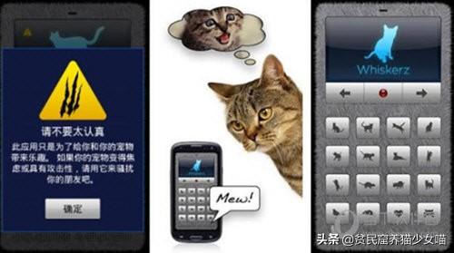 辟谣：人猫交流用App靠谱吗？其实不过是人类脑补对话罢了