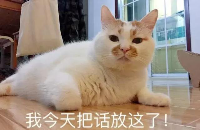 中国撸猫简史