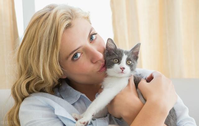 为什么女生喜欢养猫？