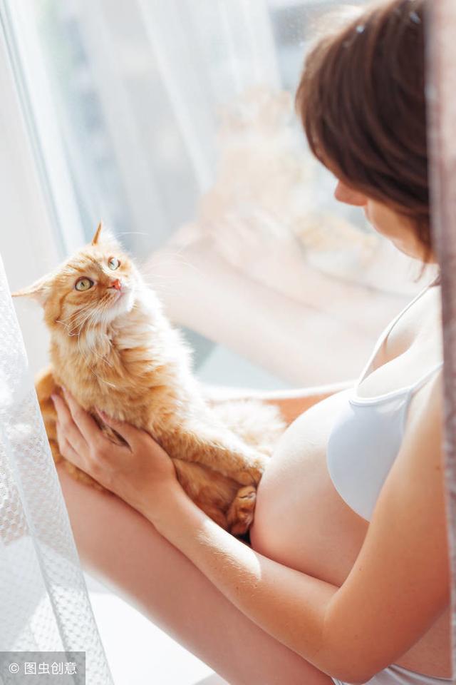 爱猫的女性怀孕前，请检查一下寄生虫：带你了解妊娠和弓形虫感染
