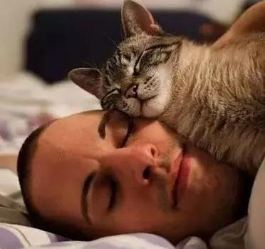 猫咪如果喜欢睡在这几个地方，一定是对铲屎官特别信任和依赖