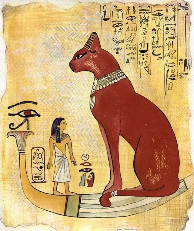 来历不明的阿比西尼亚猫：古老神秘，叫声悦耳，传说它是神猫后裔