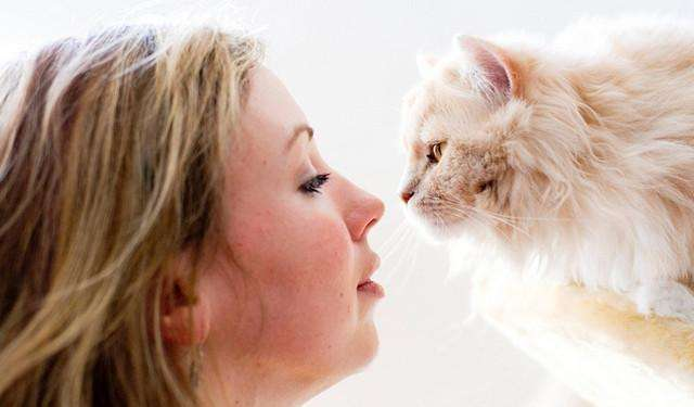 对猫过敏，是不是就没办法养猫了？