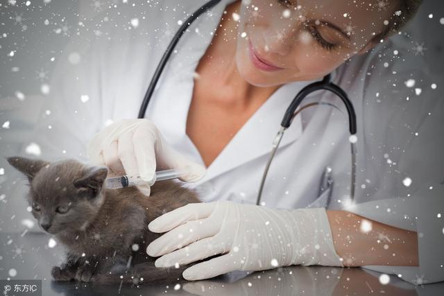猫咪一辈子不出门，需要接种疫苗和驱虫吗？