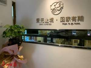 广州领养猫中心(动物领养中心开在“家门口”，爱心街坊们乐了)
