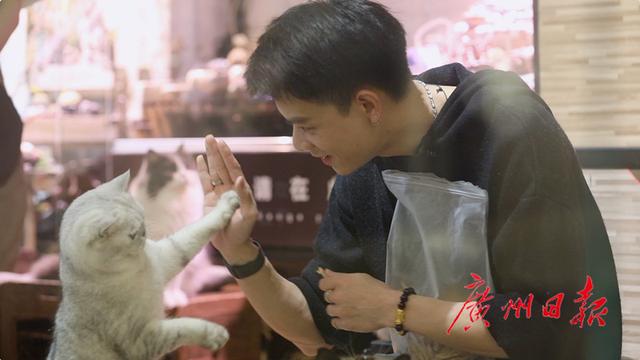 北京路的“吸猫”大亨：坐拥90只猫，花去上百万