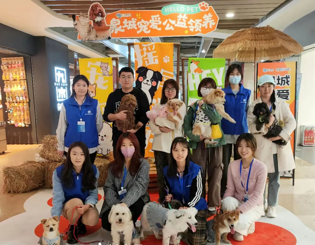 首家！济南市宠物公益领养中心开放，可接收、可领养，有折耳猫、布偶猫等品种猫